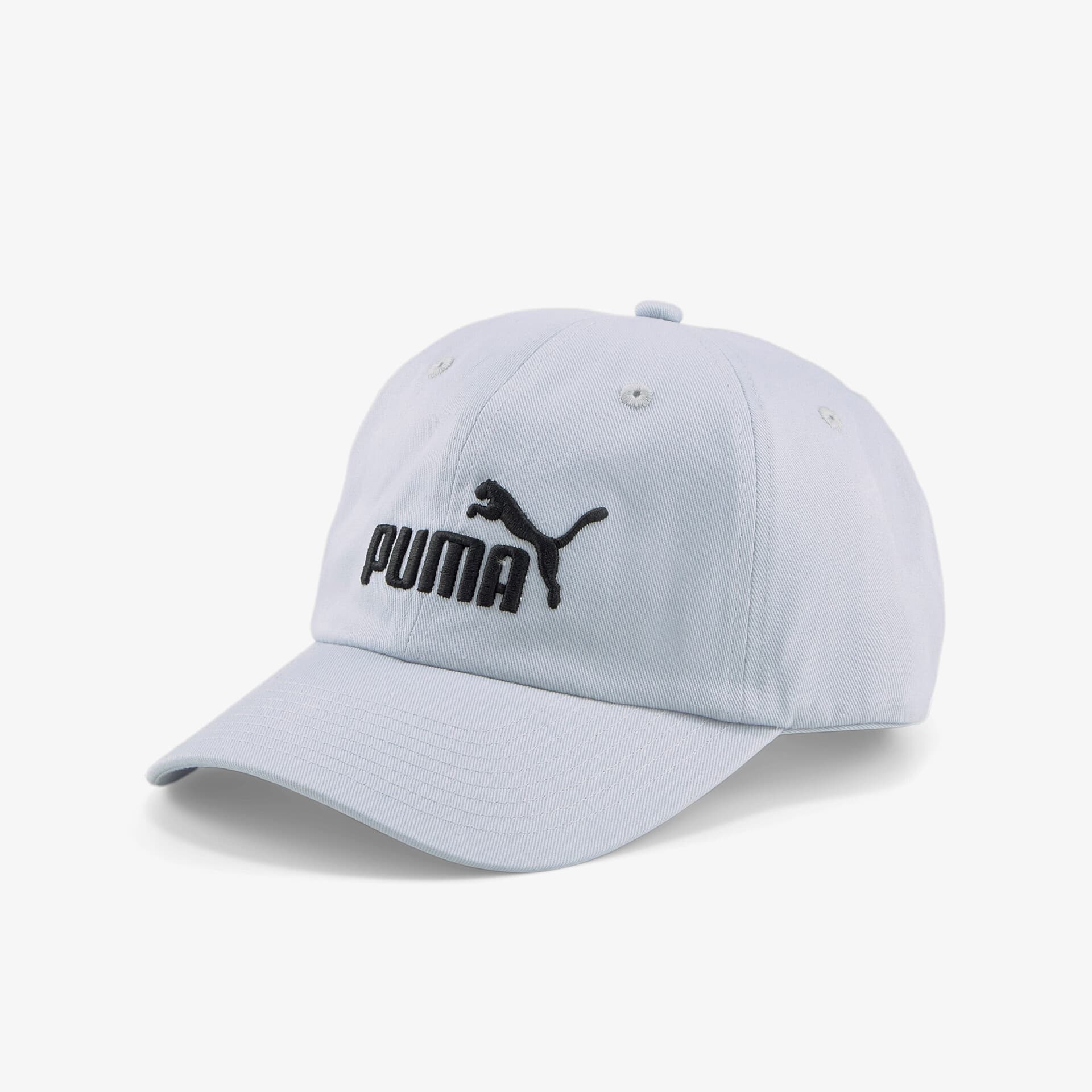 Puma ESS No.1 BB Cap